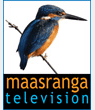 Maasranga Television — মাছরাঙ্গা টিভি logo