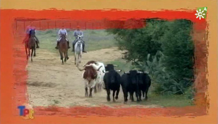 Captura del programa Toros para Todos de Andalucía TV